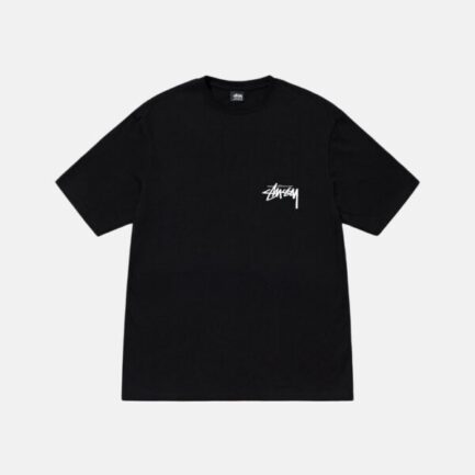 BASIC STÜSSY PIGMENT DYED TEE